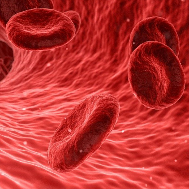 Απεικόνηση ροής αίματος στα αγγεία